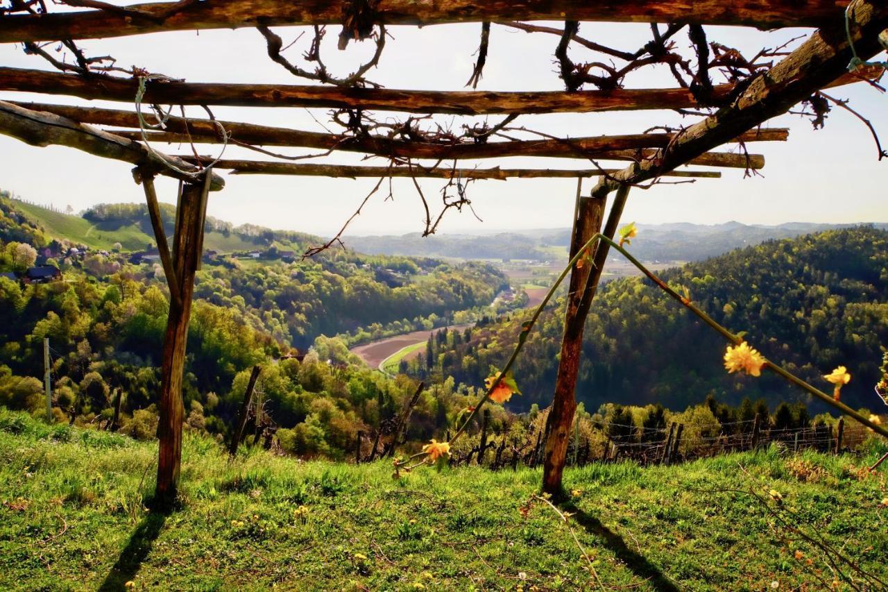 Ferienhaus Haring Kitzeck im Sausal Extérieur photo